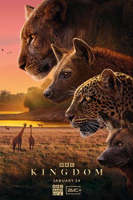 动物王国封面图