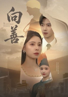 向善苦果封面图