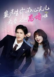 裴先生你的心尖儿老婆又想离婚啦，裴先生的复婚攻略封面图