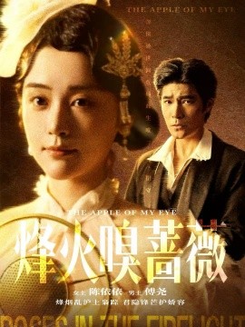 烽火嗅蔷薇傅爷的心上宠