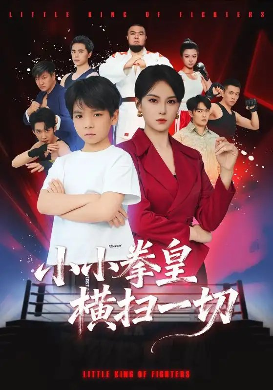 小小拳皇横扫一切封面图