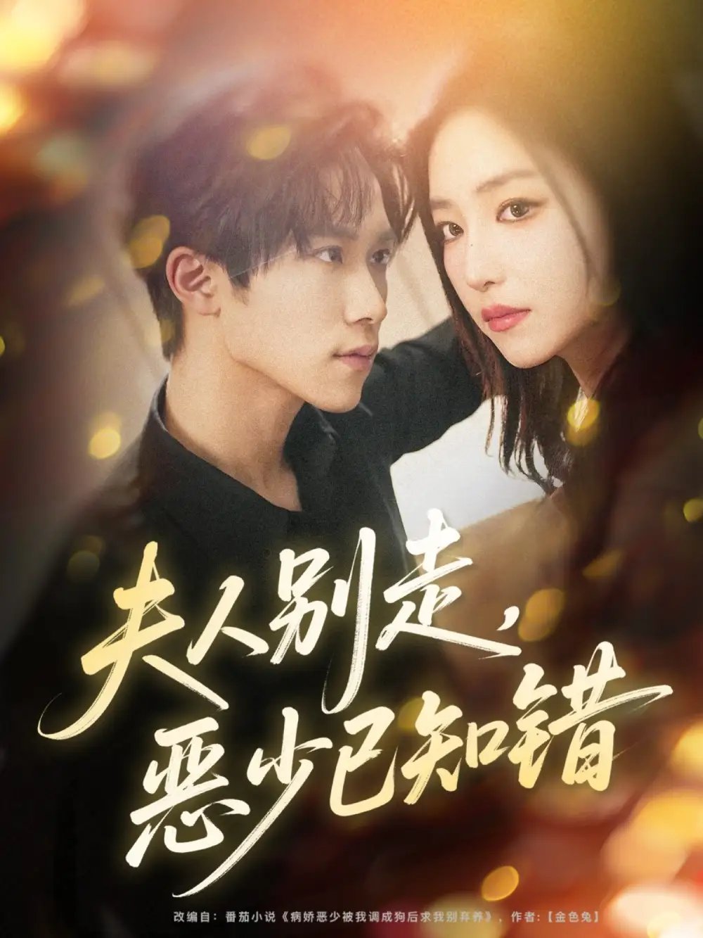 夫人别走恶少已知错封面图
