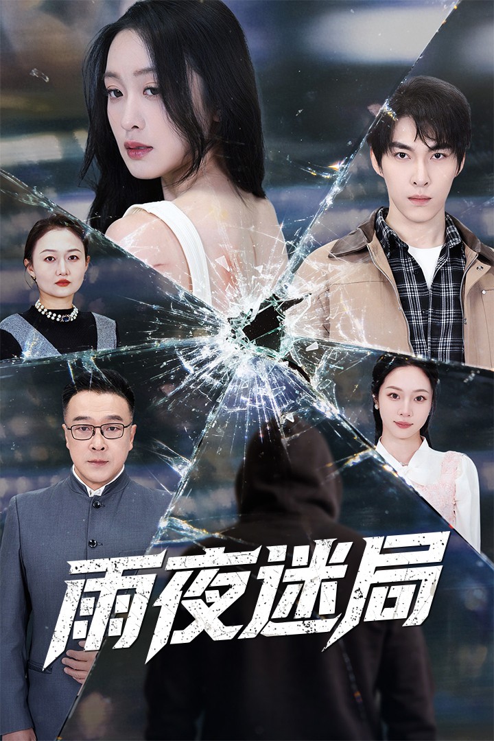 雨夜迷局封面图