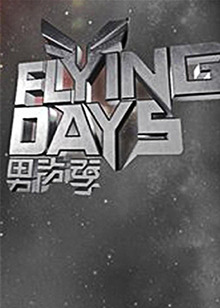 FlyingDays2010封面图