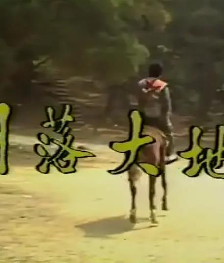 月落大地封面图