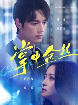 掌中金丝长姐她竟是隐藏大佬