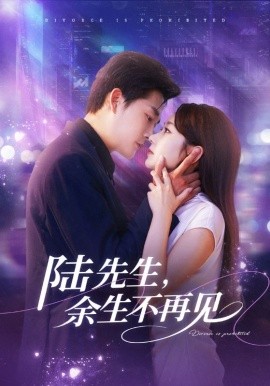 陆先生，余生不再见封面图