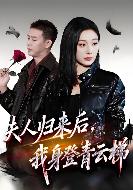 夫人归来后我身登青云梯（夫人助我踏巅峰）封面图