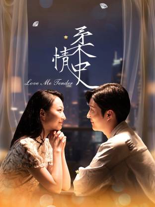 柔情史封面图